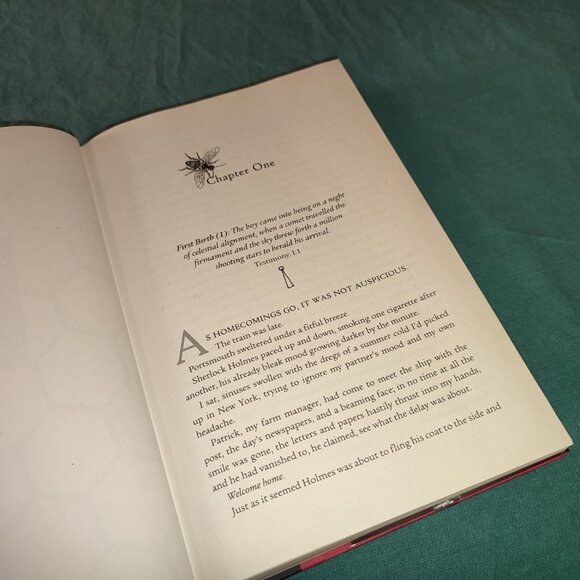 Sherlock Holmes Mary Russel Language of Bees Laurie R King Mystery book Academia - Picture 8 of 10
